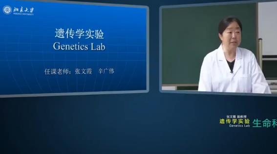 �z���W(xu��)��򞺆��