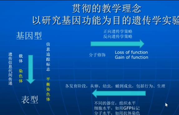 �z���W(xu��)���ҕ�l�̌W(xu��)