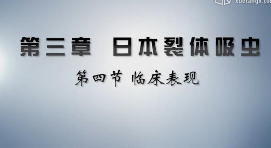 �t(y��)�W(xu��)�����x�W(xu��)�n�̺���