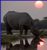 �����M(j��n)���Ұ�ķ���-��Ȼ����