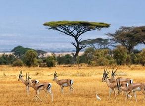 ��ԭ��δ��֮�i̽��ҕ�l