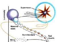 ���������c�����w����