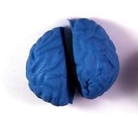 �������׵�����W(xu��)