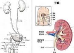 ����ϵ�y(t��ng)�����̌W(xu��)ҕ�l