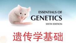 �z���W(xu��)���A(ch��)�̌W(xu��)-�㽭��W(xu��)