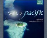 BBC����̫ƽ��