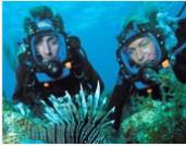 ̽���l(f��)�F(xi��n)��������l(f��)��