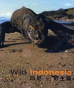 ��ӡ�ᡪ��Ұ��ƪ��