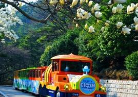 �����n�Z���Z�̳�