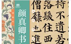 ��������ڶY���������p