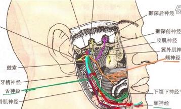 ��ǻ��������W(xu��)�n��