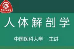 �Ї��t(y��)�ƴ�W(xu��)-���w���ʌW(xu��)�n��