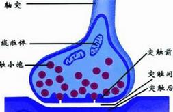 ��������������o��(d��o)ҕ�l