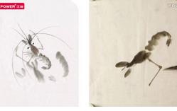 �������W(xu��)�����T�C��ƪ