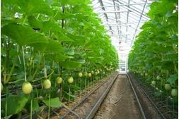 �Nֲ��(sh��)�ü��g(sh��)��ȫҕ�l