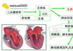 �t(y��)���R��ϵ�y(t��ng)