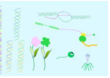 ��h��W(xu��)��������W(xu��)