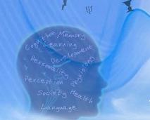 ��ͨ����W(xu��)- ���ִ�W(xu��)