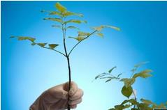 ֲ������W(xu��)��(sh��)�(y��n)���g(sh��)�n��