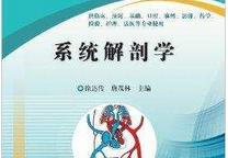 �Ĵ���Wϵ�y(t��ng)���ʌW��Ʒ�n��ҕ�l