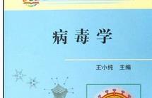 �͵���W-�����W�n��