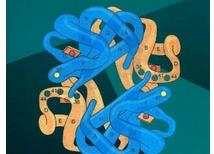 �Ͼ���W-�Y�����ﻯ�W�n��