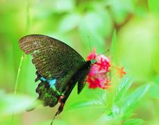 ���x���W(xu��)���B(t��i)�W(xu��)(�Ͼ��r(n��ng)�I(y��)��W(xu��))