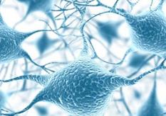 ������W-������W��Փ�n��