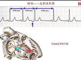 2017�t(y��)�����ƌW(xu��)��ԇ