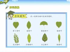 ���꼉(j��)��(sh��)�W(xu��)��(c��)�������