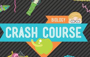 10��犿����˽�����W(xu��)