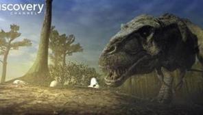 �h(yu��n)�žޫF��3D��ȫ6����