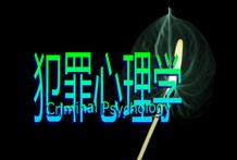 ��������W-�Ї�������W