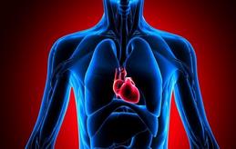 �˽��҂������K�Y(ji��)��(g��u)3d��ʾ