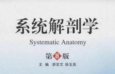 �����ʌW(xu��)��-�Ї��t(y��)�ƴ�W(xu��)���Ͻ��ڣ�