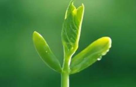 ���ղ�����μ��l(f��)���ӵČW(xu��)��(x��)�dȤ�c���ܡ�