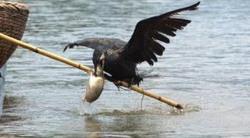 �o(j��)�Ƭ���~���Tȫ��