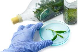 �����֘I(y��)��W(xu��)-ֲ��M�����B(y��ng)mooc