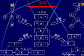 �����Y��(������W)��Ʒ�n��