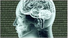 �J֪��(j��ng)�ƌW�n��-�_�������A��W��