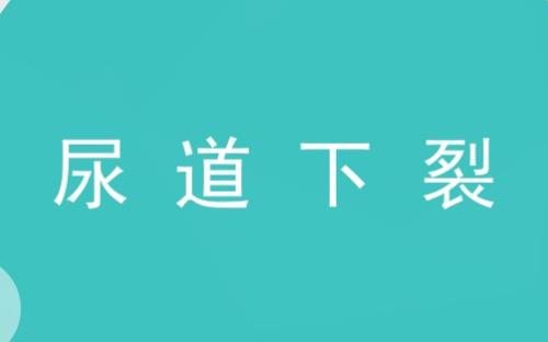 ������ѣ�����������ô�f