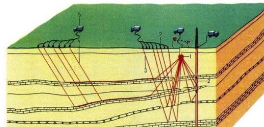 ����̽ԭ��mooc�n��