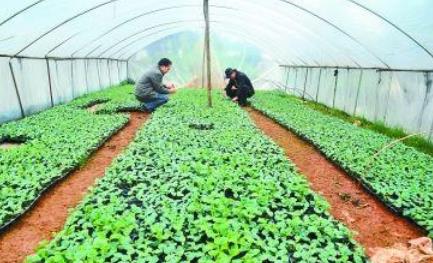 �r(n��ng)����������g(sh��)��ȫҕ�l