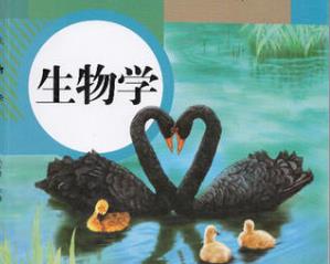 �˽̰���꼉(j��)������(c��)�o��(d��o)ҕ�l