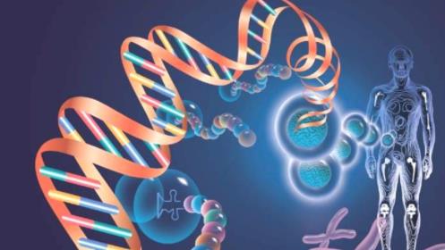 2024ȫ���߿�����ԇ�}���}�v��΢�n