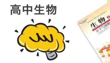 �������� ����һ���������W(w��ng)�j(lu��)�n��