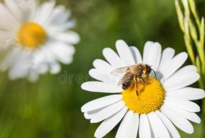 WEB APIs�ɜ\����Ч�_(k��i)�l(f��)�n��