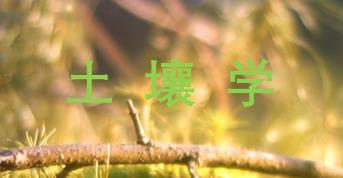 ���ϴ�W(xu��) �����W(xu��)�n��