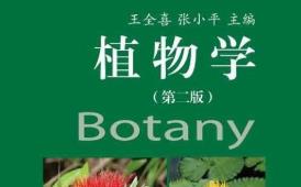 �Ї��r(n��ng)�I(y��)��W(xu��)��ֲ��W(xu��)�n��