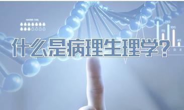 ��������W�ھ��n��- ������W ������